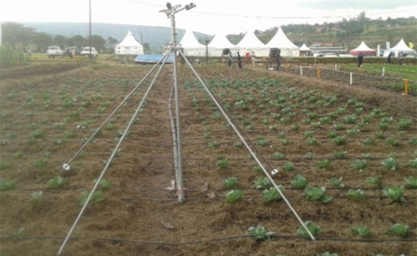 hillside irrigation