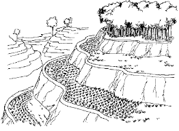 terrace drawing
